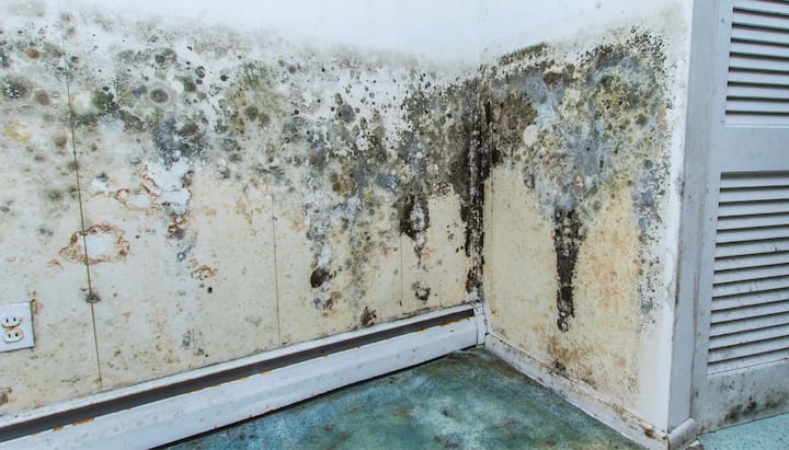 Professional mold removal, odor control, and water damage restoration service in Milwaukee, Wisconsin.