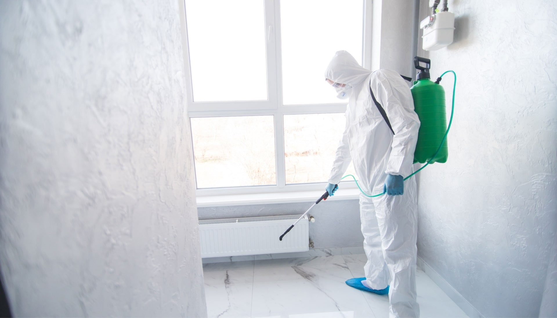 We provide the highest-quality mold inspection, testing, and removal services in the Milwaukee, Wisconsin area.